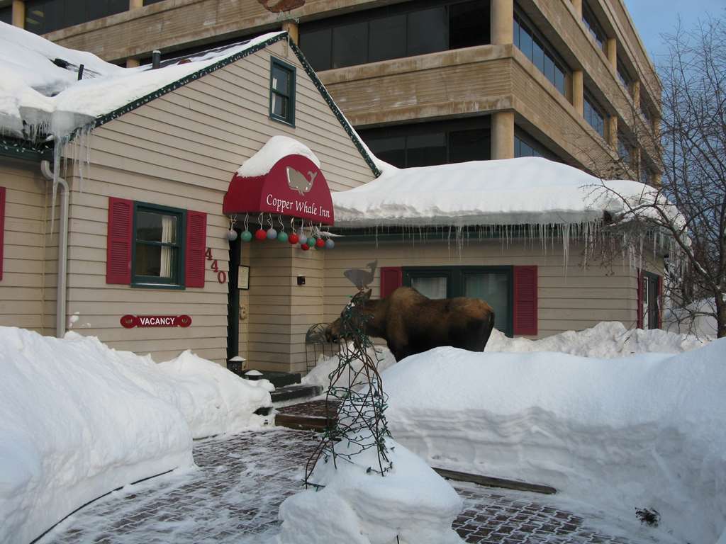 Copper Whale Inn Anchorage Exterior foto
